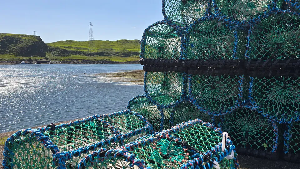 Creels on Cuan Ferry pier